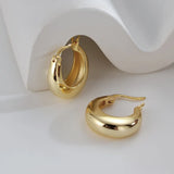 Hivava  -   plated Chunky Hoop Earrings for Women Geometric Circle Punk Ear Jewelry Party Gifts New