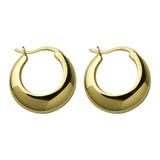 Hivava  -   plated Chunky Hoop Earrings for Women Geometric Circle Punk Ear Jewelry Party Gifts