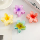 Hivava  -  jewelry 7cm Gradient Large Flower Acrylic Hair Clip For Women Sweet Hair Claws Crab Clamp Barrettes Hawaiian Headwear Accessories