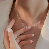 Hivava  -  Korean Silver Color Cute White Dove Necklace for Women Fashion Simple Temperament Zircon Clavicle Chain Necklace Jewlery